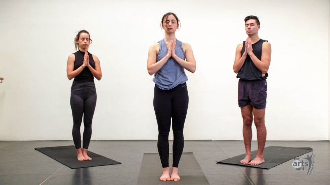 13+ Chaturanga Dandasana Drishti Yoga Poses
